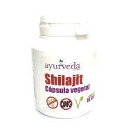 Shilajit 60 cáps veg Ayurveda