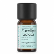 Aceite de Eucalipto radiata 10 ml essenciales