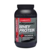Whey Protein (sabor Chocolate) 1Kg Lamberts Sport