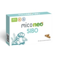 Sibo 60 cáps Miconeo