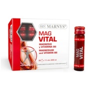 Magvital 20 viales Marnys