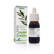 Olivo extracto S XXI 50 ml Soria Natural