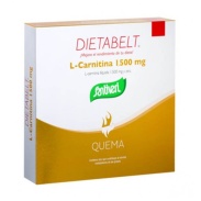 L-carnitina 100 ml 10 viales Santiveri