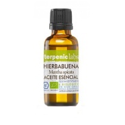 Hierbabuena 30ml Terpenic Labs