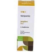 Jengibre BIO (ECO) 5ml Terpenic Labs