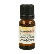 Lavandino 10ml Terpenic Labs