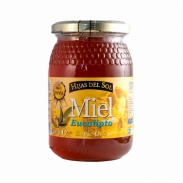 Miel eucalipto 500 g hijas del sol Ynsadiet